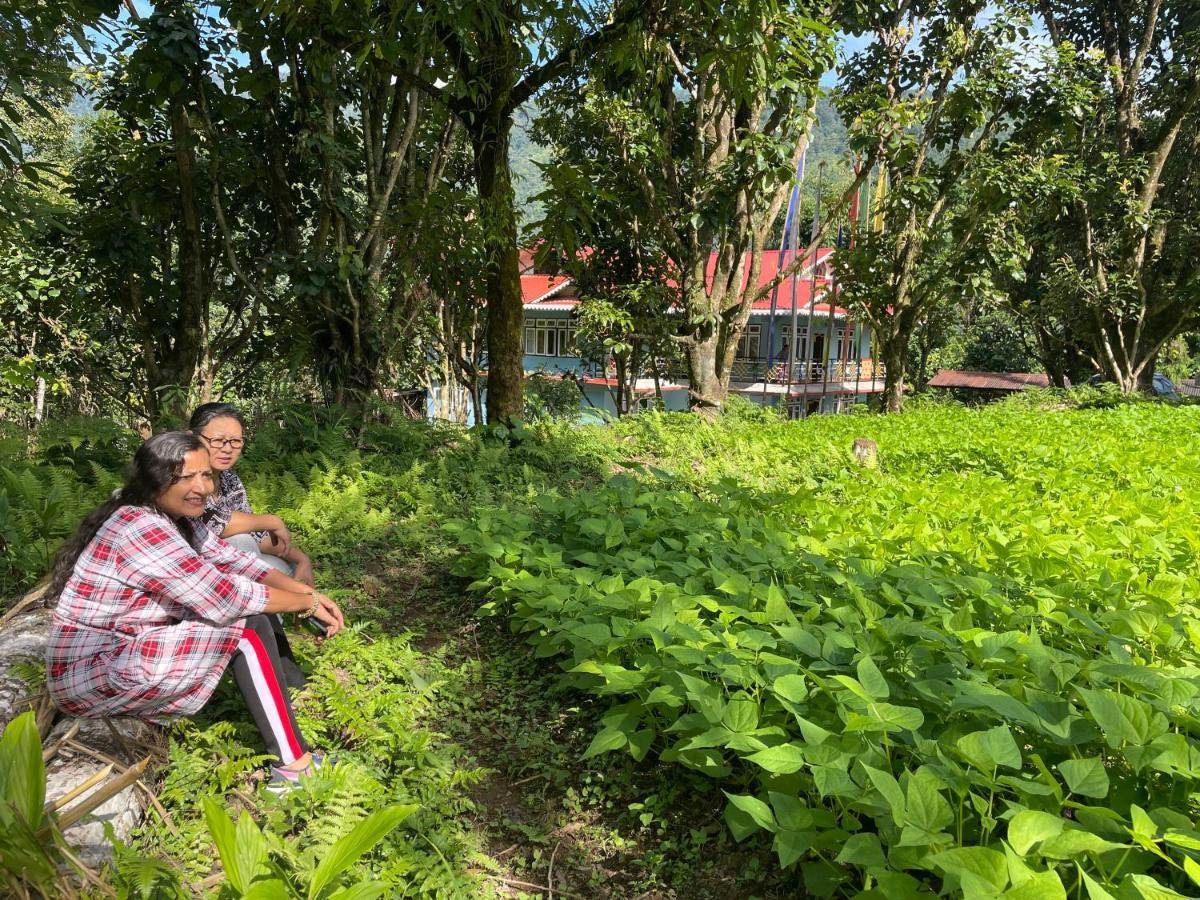 Khimsha Homestay Pelling Exterior foto